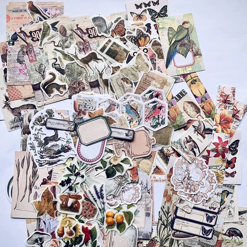 빈티지 스티커 - 200개 자연 테마 잡지용 스티커 세 - Vintage Junk Journal Scrapbooking Paper 리뷰 및 가격