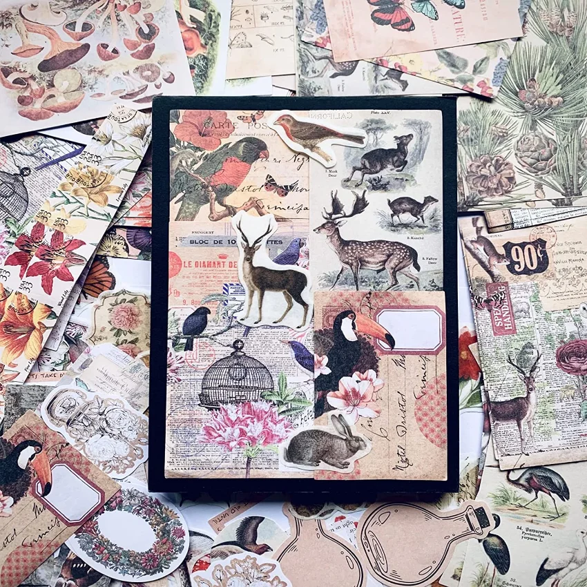 빈티지 스티커 - 200개 자연 테마 잡지용 스티커 세 - Vintage Junk Journal Scrapbooking Paper 리뷰 및 가격